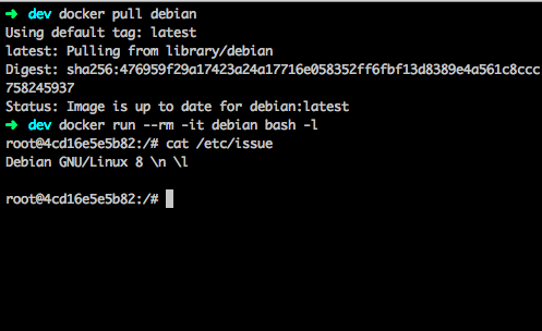 Debian Docker terminal
