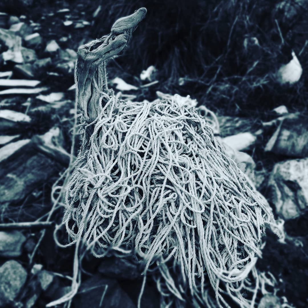 Sea creating monsters out of rubbish