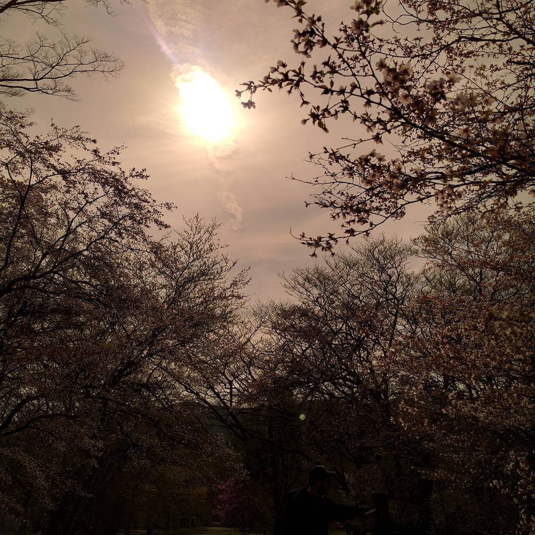 jpn_01